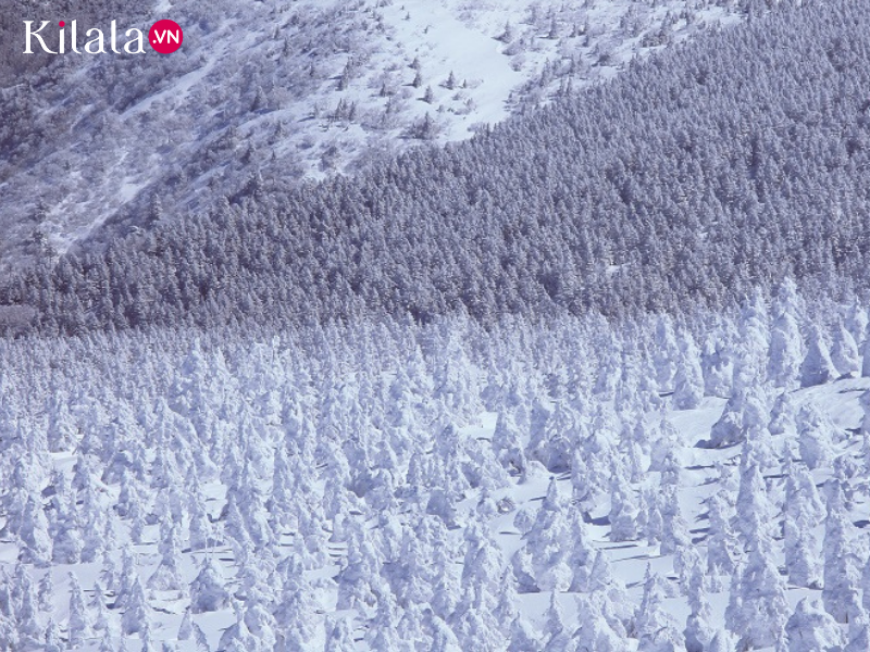 quái vật núi Zao